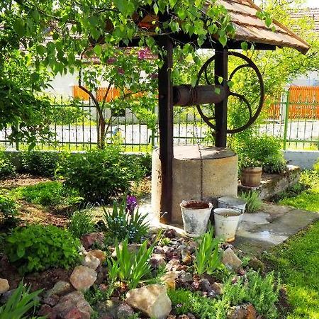 Van egy ház Villa Erdohorvati Esterno foto
